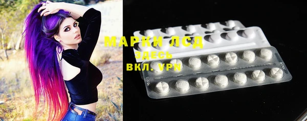 индика Алзамай