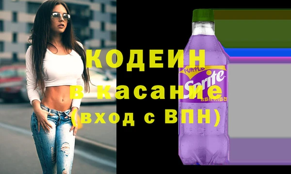 индика Алзамай