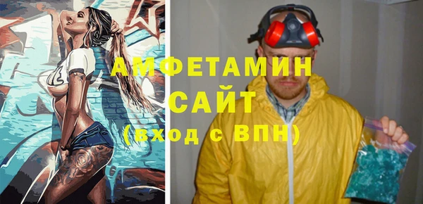 индика Алзамай